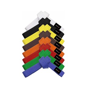 OEM Martial Arts Belt BJJ Karate Judo Master Rank Belt Premium Cotton Belt Manufacturer Custom Logo - Product Image 4