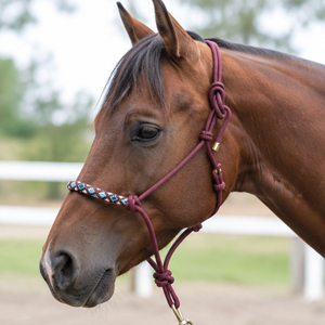 Harnais de cheval en corde bordeaux de qualité supérieure, robuste, pour l'entraînement, avec nezier tressé à la main, clip métallique, réglable, équipement équestre pour usage quotidien - Product Image 2