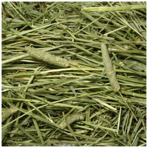 Heno de Timothy de Alta Calidad a Precio Económico - Product Image 1