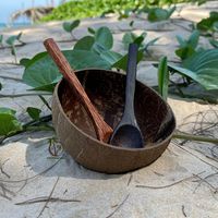 Ensemble bol et cuillère en coquille de noix de coco naturelle, au meilleur prix de gros / Ensemble bol et cuillère en bois de coco