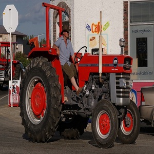 Pièces de tracteur Massey Ferguson compatibles avec MF 135 MF 165 MF 175 MF 185 MF 188 MF 275 MF 290 MF 385 MF 455 - Product Image 4
