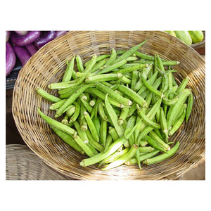 Okra fraîche de qualité supérieure pour les entreprises de transformation alimentaire et les distributeurs en gros - Product Image 3