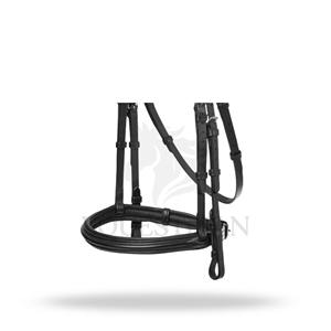 Bridon d'équitation anglais ARIKA CAVESSON, taille complète, pour l'entraînement des chevaux - Product Image 3