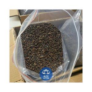 เมล็ดมะละกอแห้งคุณภาพสูง ราคาขายส่งถูก พริกแห้งสมุนไพรธรรมชาติ พรีเมียม จัดจำหน่ายจากโรงงานโดยตรง - Product Image 1