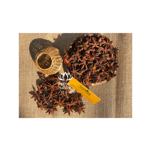 Anís estrellado premium de alta calidad |   Especias Secas Enteras Vietnamitas para Compradores de Ingredientes Alimenticios - Product Image 1