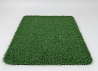 Kunstrasen für Putting Greens, Dachbegrünung, Plastik-Simulationsgras, Dekoration für Außenbereich, Fußball, Freizeit, Teppich für Kindergärten, PP+PE