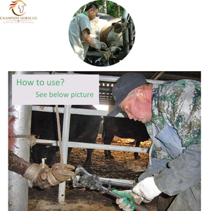 Cortador de Pezuñas Veterinario Reutilizable de Calidad Premium para el Cuidado de Caballos, Herramientas Duraderas para Herradores - Product Image 6