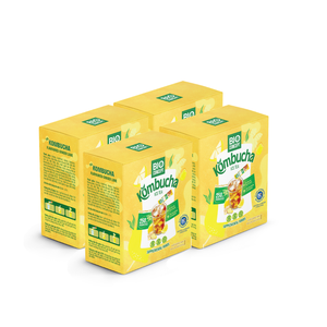 Venta Directa de Fábrica: Bebida de Kombucha de Jengibre y Lima con Polvo de Té Instantáneo BC30, Cajas de Empaque a Granel para Envasado - Product Image 1