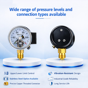 MAIRUIKESI customizável escala ajustável contato configurações medidor de pressão contato elétrico para testes automotivos e hidráulicos - Product Image 4