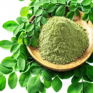 Poudre de feuille de Moringa en vrac de haute qualité extrait de poudre de feuille de Moringa pur à vendre populaire - Product Image 1