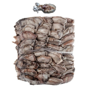 Calamar entier congelé non nettoyé Choco / Mongo Naturel Processus BQF 100% Sepia Officinalis Boîte de 25 kg Espagne - Product Image 1