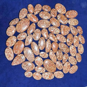 Lote al por mayor de cabujones de jaspe asteroide natural, piedras preciosas sueltas en varias formas y tamaños para la fabricación de joyas - Product Image 1