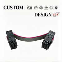 Kabel IDC 2x5 Pin Pitch 2.54mm, Kontak Sisi Sama, Panjang 30mm, Kabel Pita Fleksibel Ramah Lingkungan untuk Papan PCB