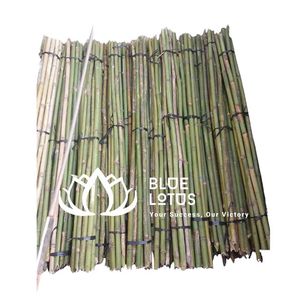 ไม้ไผ่ดิบคุณภาพสูงสำหรับค้ำยันพืชผลทางการเกษตร (สินค้าขายดี) - Product Image 1