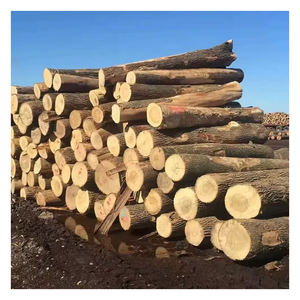 Bûches de bois de chêne naturelles, bois dur rond pour la production de bois d'œuvre en scierie, usine de meubles et revêtements de sol, approvisionnement en vrac - Product Image 5