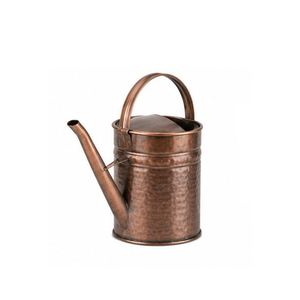 Large Capacity Antique Design Hand Painted Most Popular Water <b>Cane</b> Minimalist Home and <b>Garden</b> Decorative Metal Water Can - Product Image 2