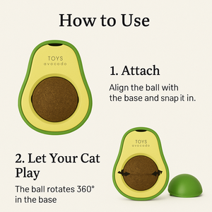 Juguete de bola de hierba gatera en forma de aguacate OEM, limpieza de dientes naturales y soporte de coccidia, juego interactivo para el cuidado de la salud de los gatos - Product Image 6
