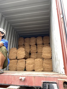 Favori des clients : Tapis en fibre de coco écologique et sûr, modèle 2026, idéal pour la stabilisation des sols et le soutien des talus - En promotion - Product Image 3