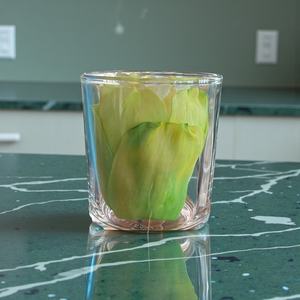 VADEE SOLA WOOD FLOWER SET Diffuseur Fleurs en Bois Sola 6,5 CM Couleur Vert Doux Fibre de Plante Sesbania Bâtonnets d'Aromathérapie Faits à la Main - Product Image 4