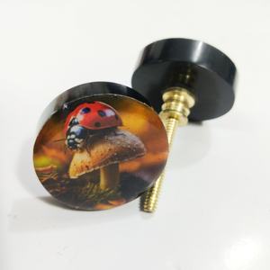 Pomo de puerta negro de resina innovadora de pulpo que transforma cada entrada con un diseño contemporáneo y una funcionalidad atemporal - Product Image 2