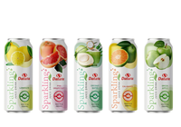 Groothandel OEM ODM 100% sap, magere bruiswater 330ml GRAPEFRUIT smaak voor zomerse sfeer