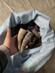 Corne de buffle naturelle polie, pointe noire naturelle, haute qualité - Product Image 2