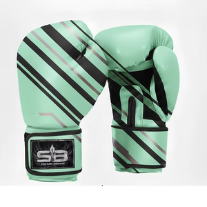 Equipo de boxeo de alta calidad - Product Image 1