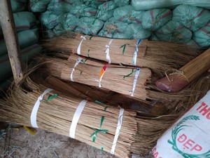 Vigifarm Balai en feuilles de coco 100% naturel - Flexible et durable, multi-usages pour le nettoyage domestique et extérieur, Vietnam - Product Image 2