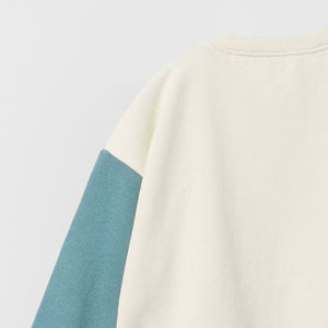 เสื้อสเวตเชิ้ตผู้ชายแบบปรับได้สำหรับฤดูหนาว  ออกแบบสีบล็อกพร้อมโลโก้สั่งทำ  ระบายอากาศได้ดี  ลายปักแบบเรียบ  ผ้าฟลีซโพลีเอสเตอร์/คอตตอน - Product Image 4