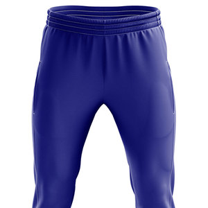 Impression de logo personnalisable, vêtements de sport d'équipe, uniformes de cricket, meilleur matériau, vêtements de sport pour hommes, uniforme de cricket à prix avantageux - Product Image 5