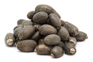 Graines de Jatropha 100% naturelles, 75 cm, stockage à sec, durée de conservation de 2 ans, origine UE, haute qualité, prix de gros pour usage végétal - Product Image 6