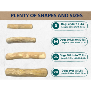 FSC Best Seller Durable Wood Natural Dog Chews Coffee Wood Dog Chew Toy From Direct Manufacturer in Vietnam For Wholesalers - Product Image 6