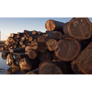 Troncos de Madera Dura de Grado de Construcción, Troncos de Chapa de Madera, Material de Madera Resistente, Perfecto para Carpintería y Uso Industrial - Product Image 6