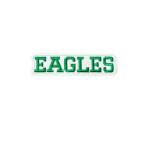 Patch brodé personnalisé Aigles, thermocollant, couleur turquoise, forme irrégulière, en feutre non tissé, pour vêtements