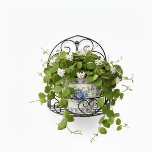 Support mural en métal pour plantes, support décoratif pour plantes suspendues, pour l'intérieur, l'extérieur, le jardin, le balcon, la terrasse, les étagères murales - Product Image 1