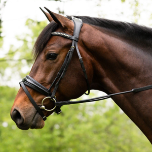 Brida de Cuero para Caballo Hecha a Mano de Primera Calidad al por Mayor con Riendas, Duradera, Cómoda y Transpirable, Equipo Ecuestre para Entrenamiento de Equitación - Product Image 3
