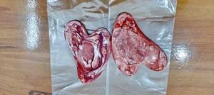 FAIZA CRAFT Handmade Resin <b>Gua</b> <b>Sha</b> Facial <b>Body</b> Massager with Customized Shape-Crafts for Decoration - Product Image 4