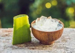 ใบว่านหางจระเข้หั่นสี่เหลี่ยมลูกเต๋าในน้ำเชื่อมเบา-วัสดุเจลสำหรับดื่ม - Product Image 3