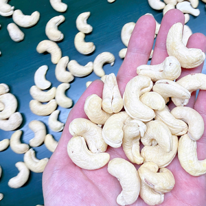 FREE Sample Cashew Nuts Nuts Kernels Ready To Ship Cashew Kernel SANTIGO - Product Image 1