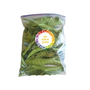 Hojas de Mango Secas de Primera Calidad, Bolsa a Granel, Té de Hojas Sueltas, Proveedor de Vietnam, 100% Origen Vietnamita, Empaque Personalizado, Venta al Por Mayor - Product Image 2