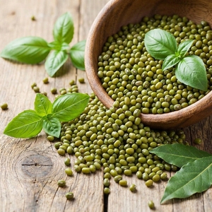 Premium Mung <b>Beans</b> Sprout <b>Production</b> Line High Germination Green Mung <b>Beans</b> Green <b>Beans</b> From India Export Quality Vigna - Product Image 5