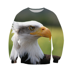 Sweat à capuche pour homme avec imprimé aigle chauve, impression numérique, 100% coton, coupe classique, col rond, tricoté, vêtement d'hiver décontracté - Product Image 1