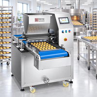 Déposeur automatique de biscuits pour biscuits au beurre et biscuits coupés à la presse
