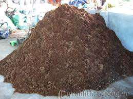 PAS CHER LOOSE COCO PEAT/ COCO PEAT / CONTACT: Mme Laura: + 84 896611913 - Product Image 2