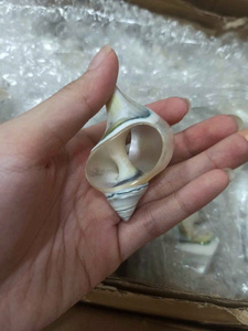 แหวนรองผ้าเช็ดปากเปลือกหอยธรรมชาติ แหวนรองผ้าเช็ดปากเปลือกหอยสวยงามสำหรับตกแต่งโต๊ะอาหารและใช้ในบ้าน - Product Image 3