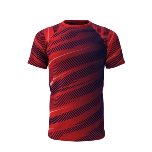 Sublimation Sports T <b>Shirts</b> Custom Printed Full Color 100% Polyester <b>Moisture</b> <b>Wicking</b> Quick Dry for Gym Training T-<b>shirts</b> - Product Image 3