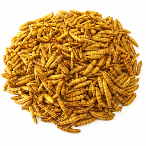Larvas de Mosca Soldado Negra Altas en Proteínas, Secas y Desgrasadas |   Suministro al por Mayor |   OEM Disponible/ Lily - Product Image 5