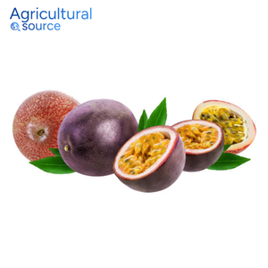 เสาวรสคุณภาพสูง-เลือกรสหวานรสเปรี้ยว-เสาวรสสำหรับทำขนมอบสูตรจากโรงงานเวียดนาม - Product Image 2