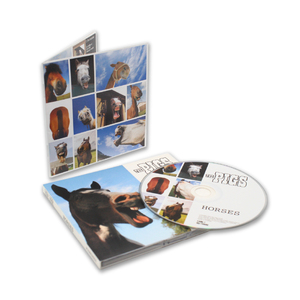 Emballage Digipak avec pochette transparente découpée pour CD - Product Image 3
