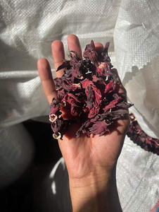 Thé aux fleurs d'hibiscus séchées bio vietnamien de haute qualité, best-seller, détoxifiant et amincissant, tisane aux herbes - Product Image 6